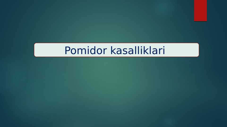 Pomidor kasalliklari