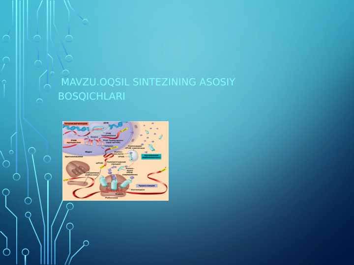 Oqsil sintеzining аsоsiy bosqichlаri