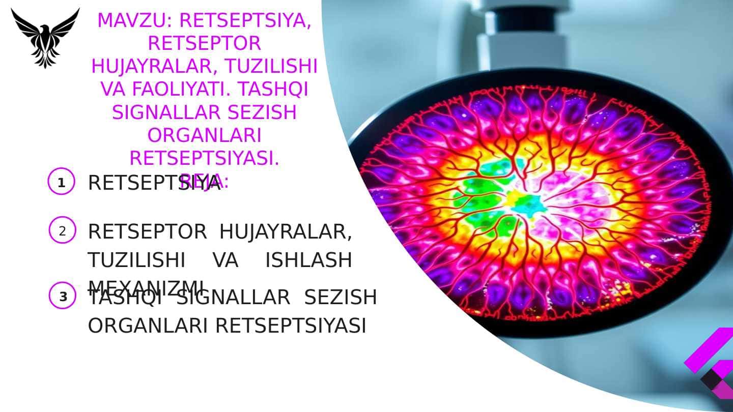 Retseptsiya, retseptor hujayralar tuzilishi va faoliyati. Tashqi signallar sezish organlari retseptsiyasi.