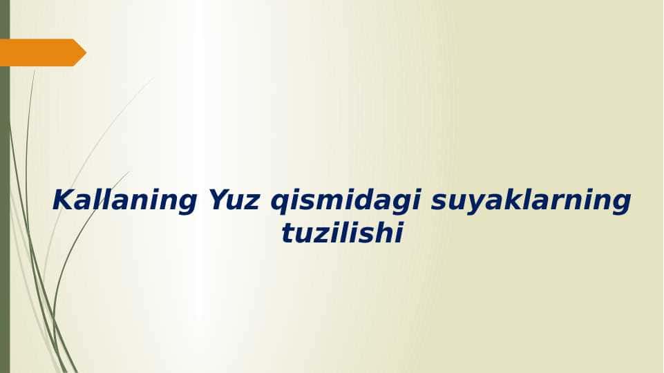 Kallaning Yuz qismidagi suyaklarning tuzilishi