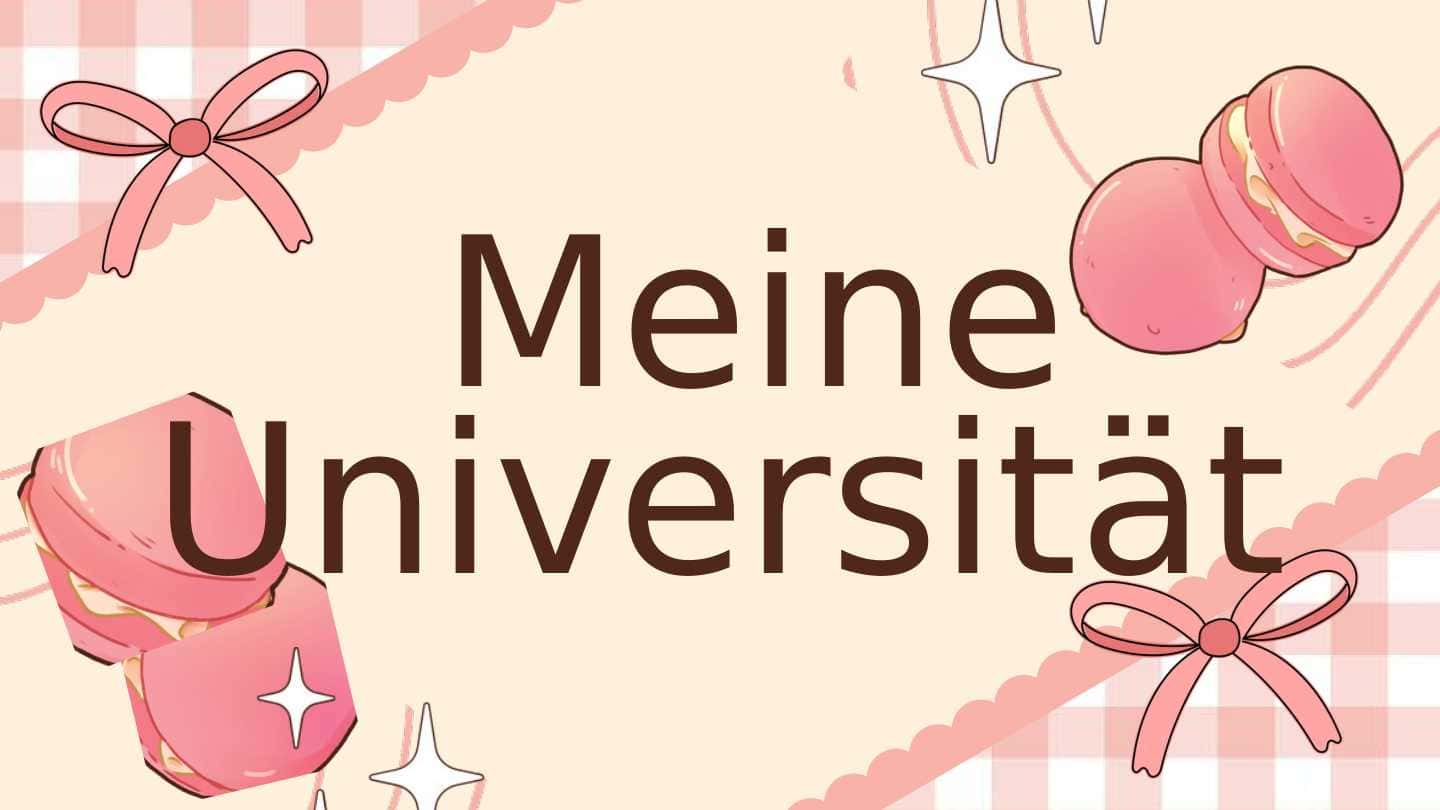 Mein Universität