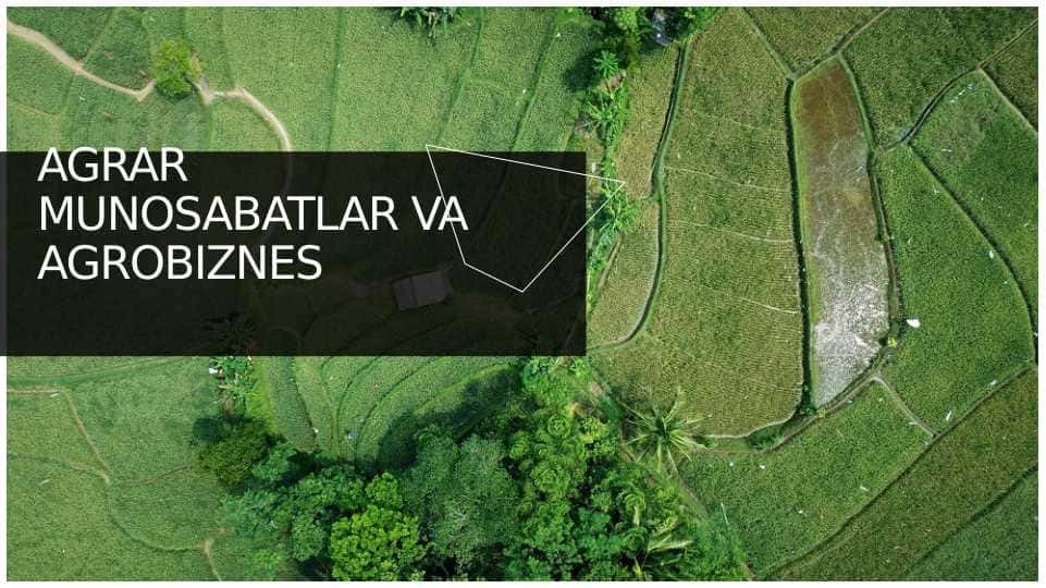 AGRAR MUNOSABATLAR VA AGROBIZNES