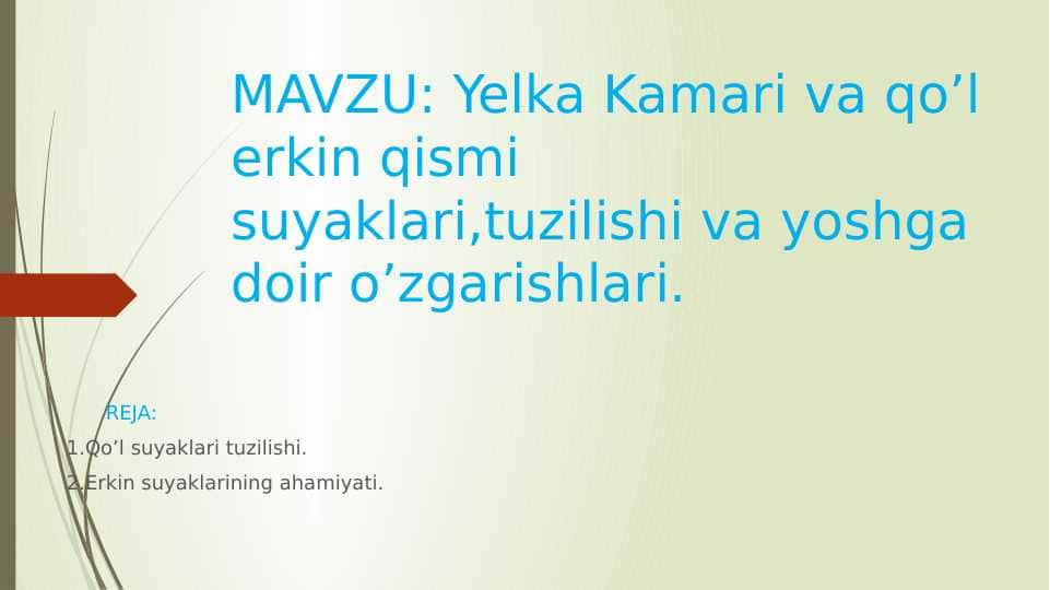 Yelka Kamari va qo’l erkin qismi suyaklari,tuzilishi va yoshga doir o’zgarishlari