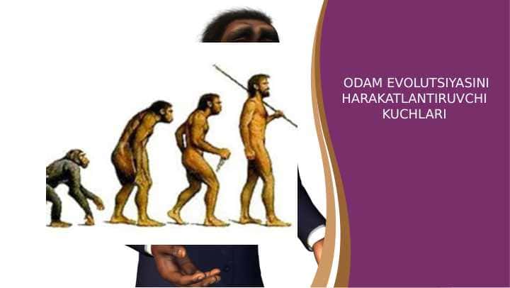 ODAM EVOLUTSIYASINI HARAKATLANTIRUVCHI KUCHLARI