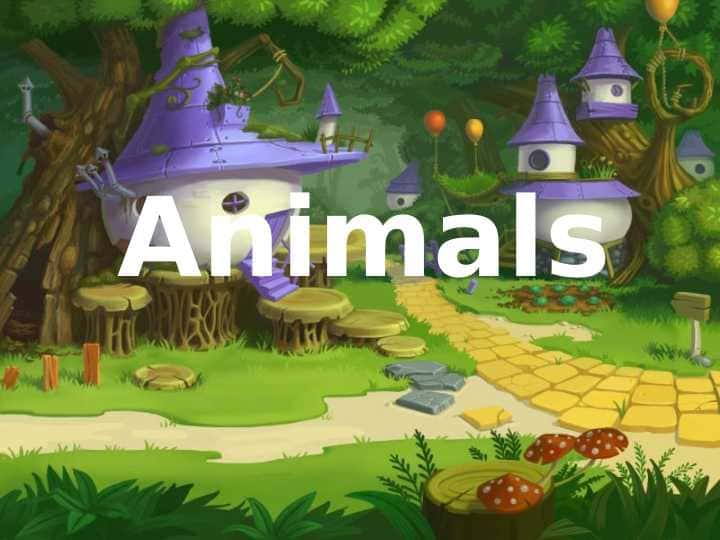 Animals