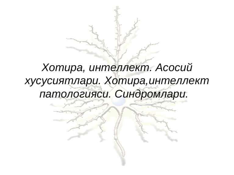 Хотира, интеллект. Асосий хусусиятлари, патологияси, синдромлари.