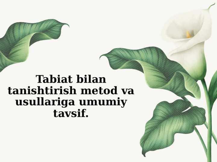 Tabiat bilan tanishtirish metod va usullariga umumiy tavsif