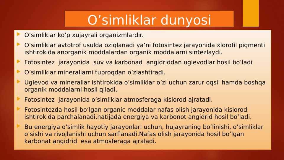 O’simliklar dunyosi