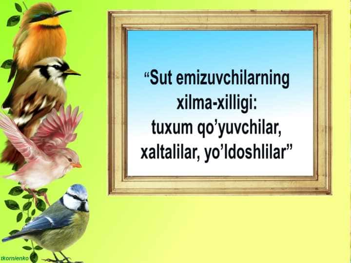 Sutemizuvchilar xilma xilligi