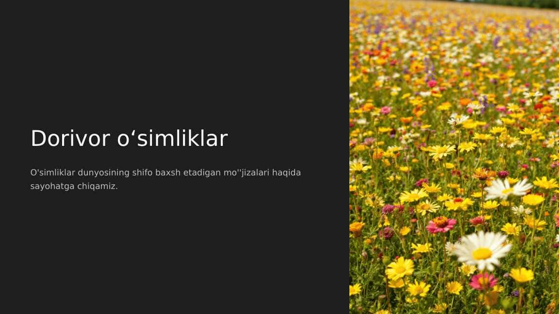 Dorivor o‘simliklar