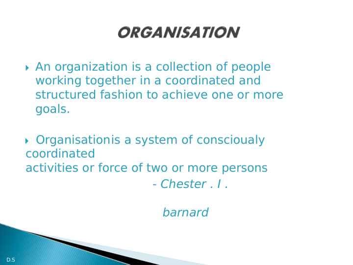 Organization