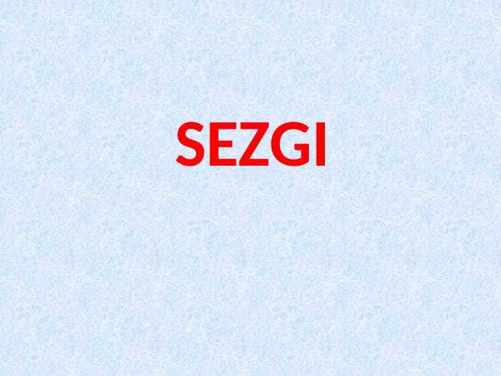 Sezgi