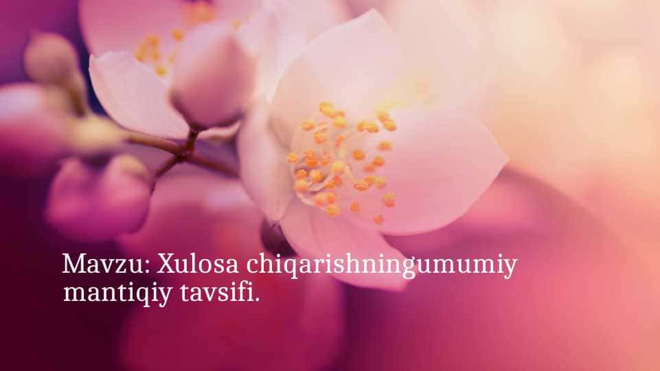 Xulosa chiqarishningumumiy mantiqiy tavsifi.