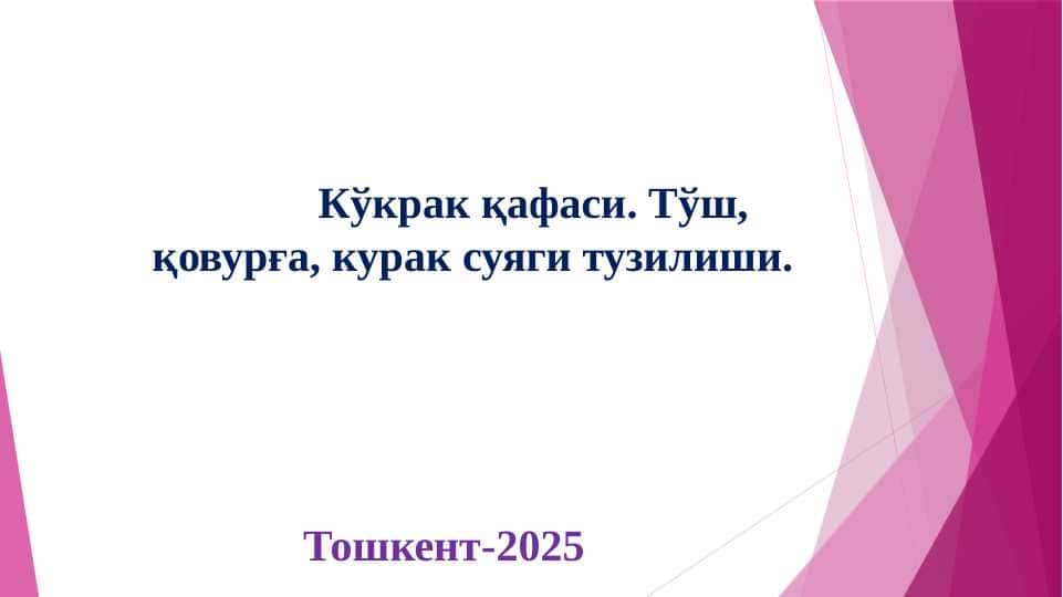 Кўкрак қафаси. Тўш, қовурға, курак суяги тузилиши.