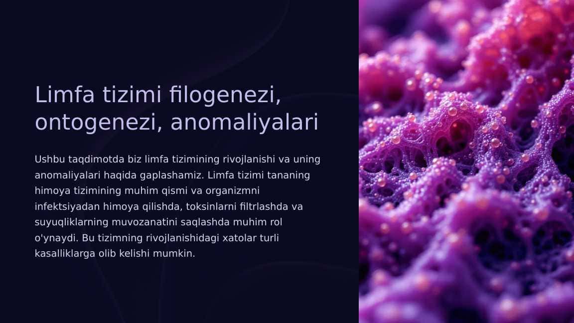 Limfa tizimi filogenezi, ontogenezi, anomaliyalari