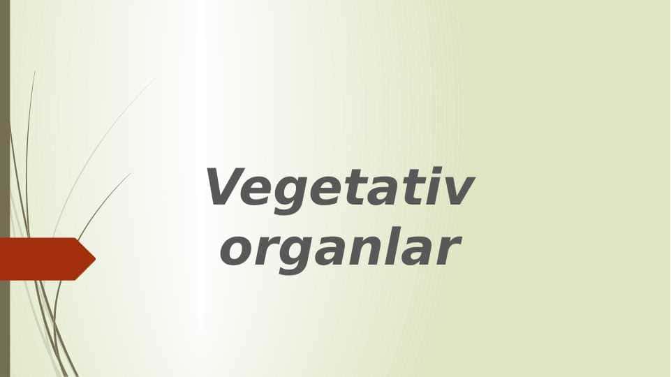 Vegetativ organlar pptx