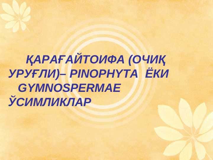 ҚАРАҒАЙТОИФА (ОЧИҚ УРУҒЛИ)– PINOPHYTA ЁКИ GYMNOSPERMAE ЎСИМЛИКЛАР pptx