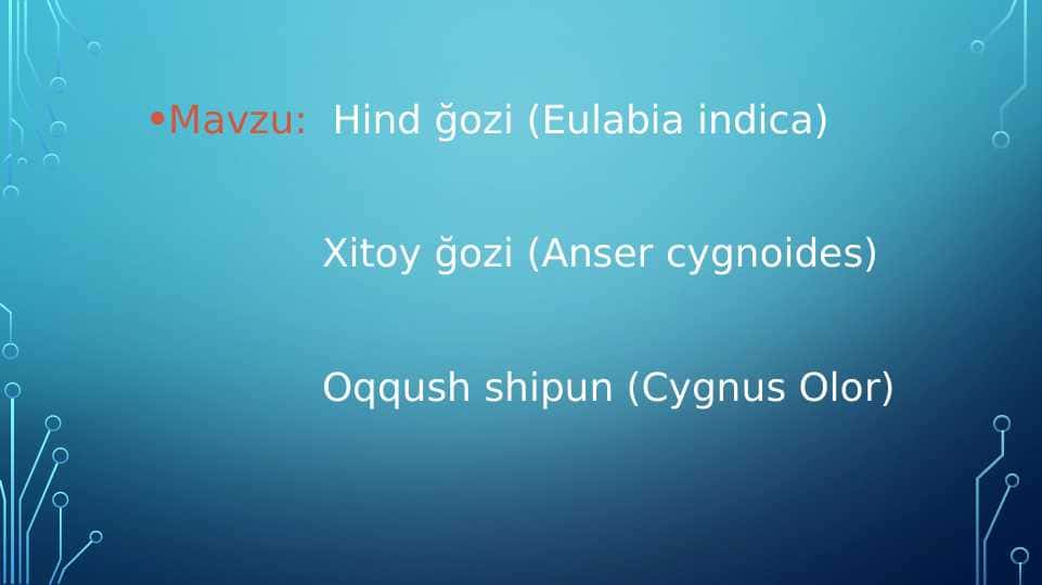 g`ozlar va ularning turlari pptx