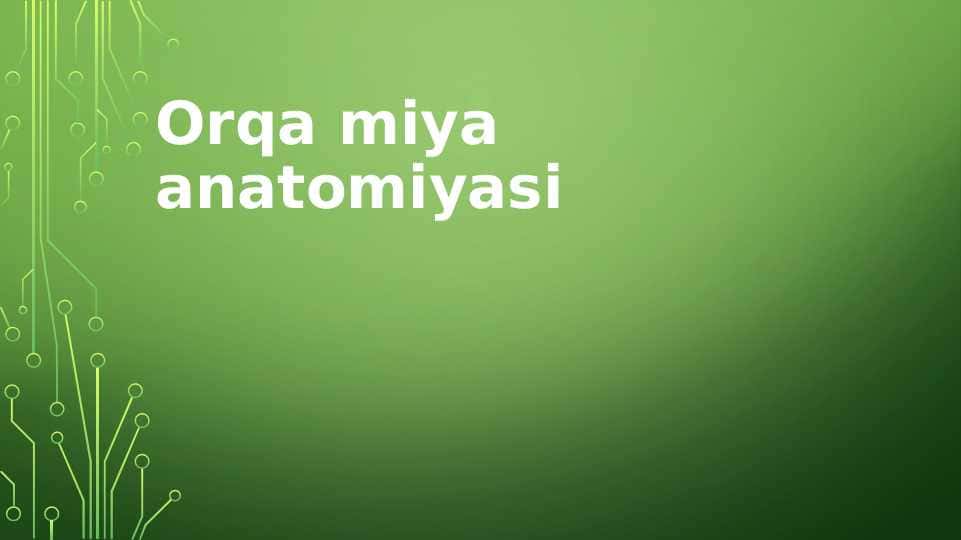 Orqa miya anatomiyasi