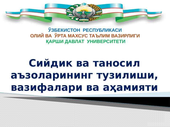 Сийдик ва таносил аъзоларининг тузилиши, вазифалари ва аҳамияти