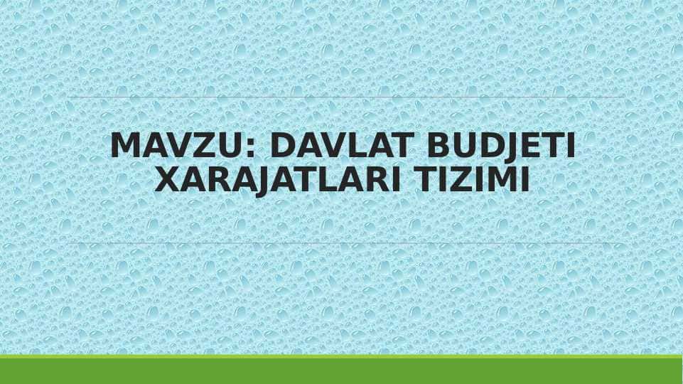 DAVLAT BUDJETI XARAJATLARI TIZIMI