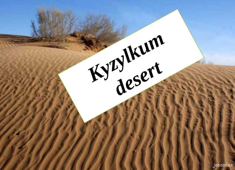 Kyzylkum desert