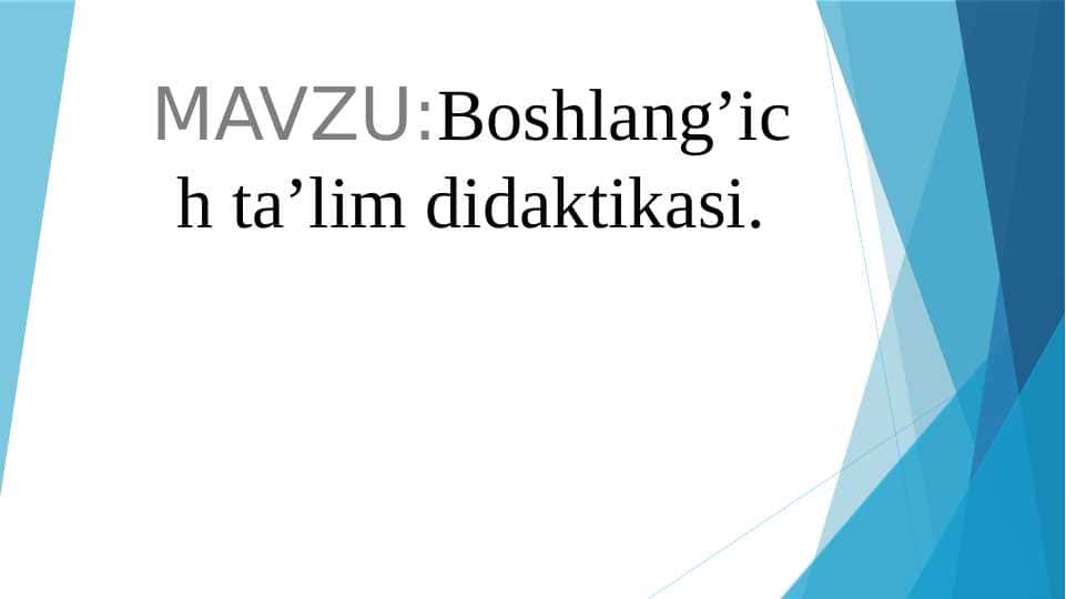 Boshlang’ich ta’lim didaktikasi