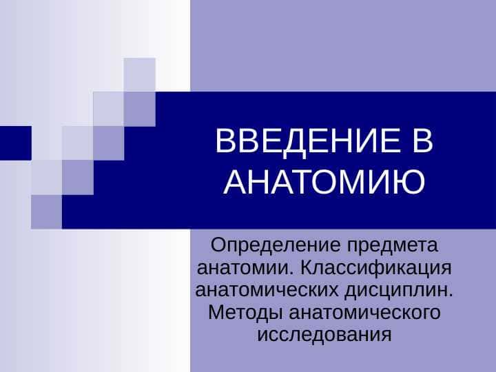 ВВЕДЕНИЕ В АНАТОМИЮ
