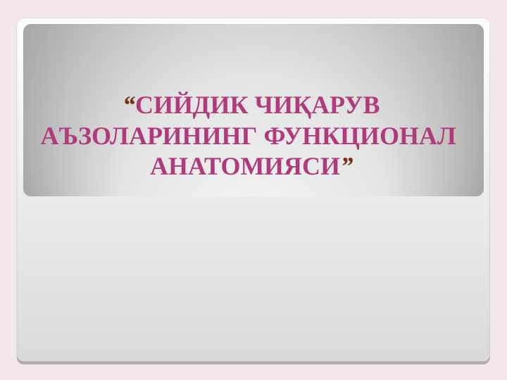 СИЙДИК ЧИҚАРУВ АЪЗОЛАРИНИНГ ФУНКЦИОНАЛ АНАТОМИЯСИ