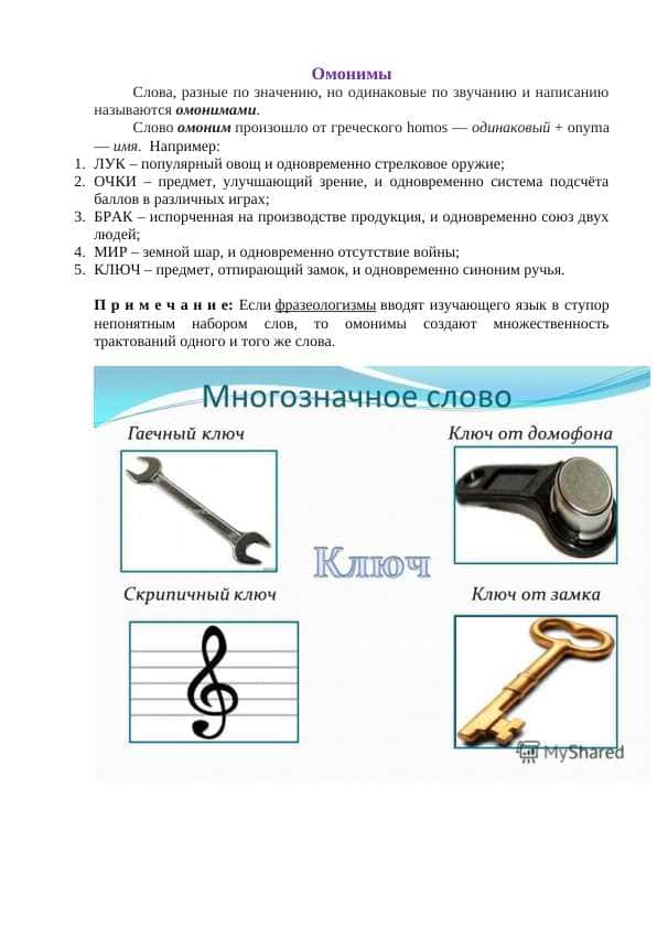 Омонимы