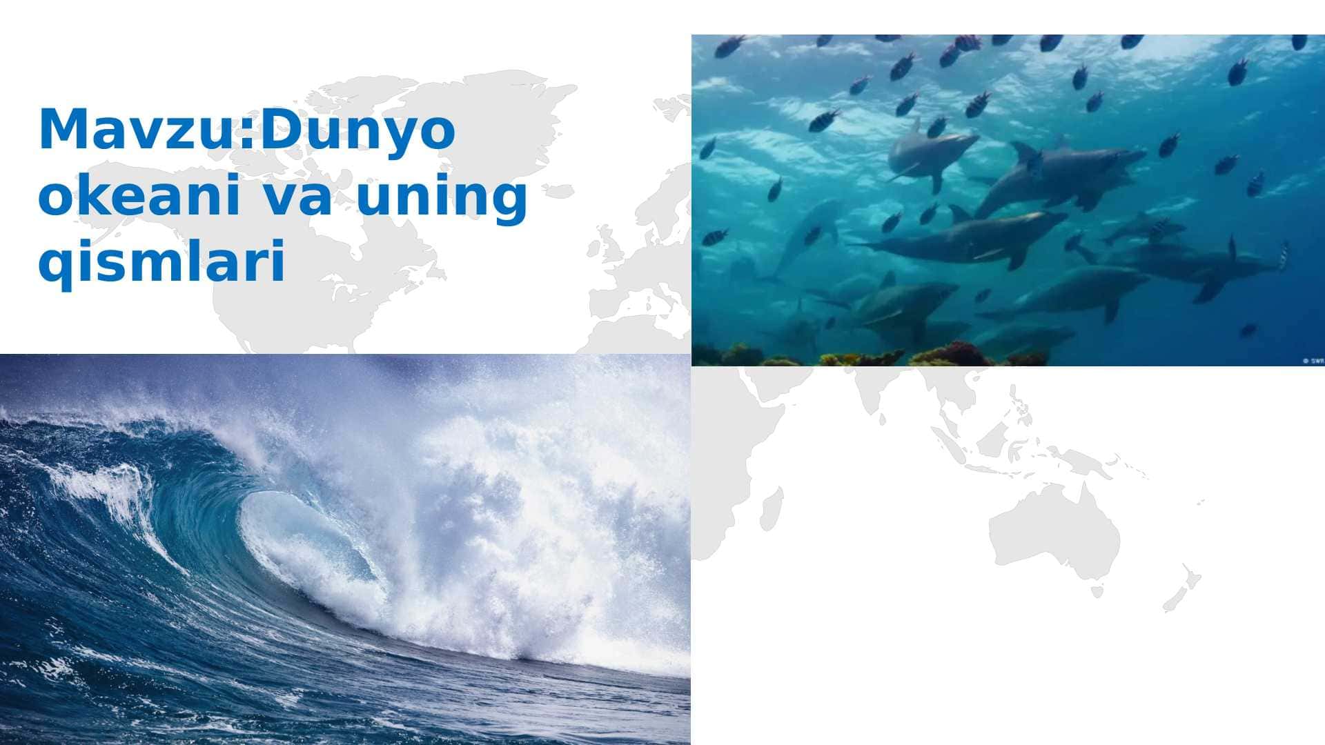 Dunyo okeani va uning qismlari