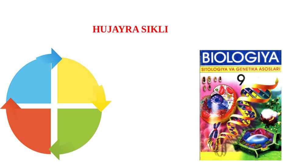 HUJAYRA SIKLI