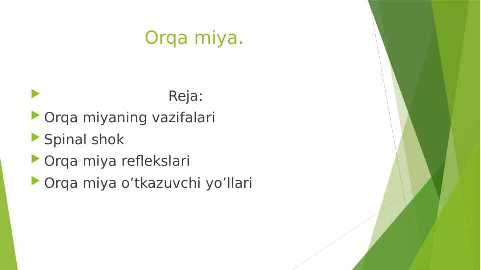 Orqa miya