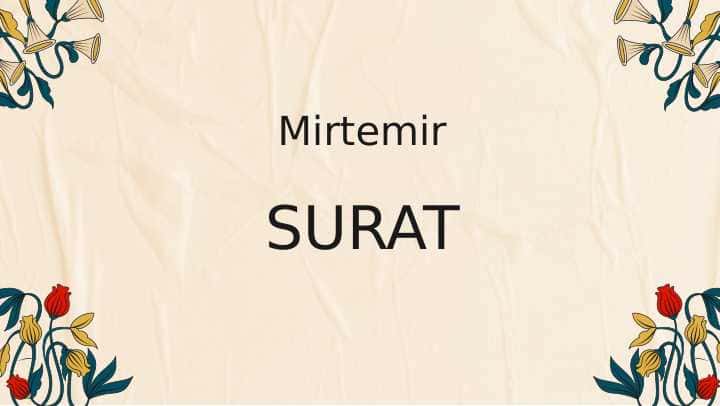 Mirtemirning "Surat" dostoni tahlili