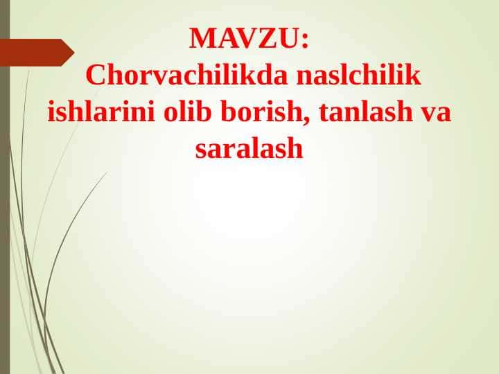 Chorvachilikda naslchilik ishlarini olib borish, tanlash va saralash