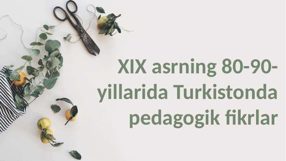 XIX asrning 80-90- yillarida Turkistonda pedagogik fikrlar