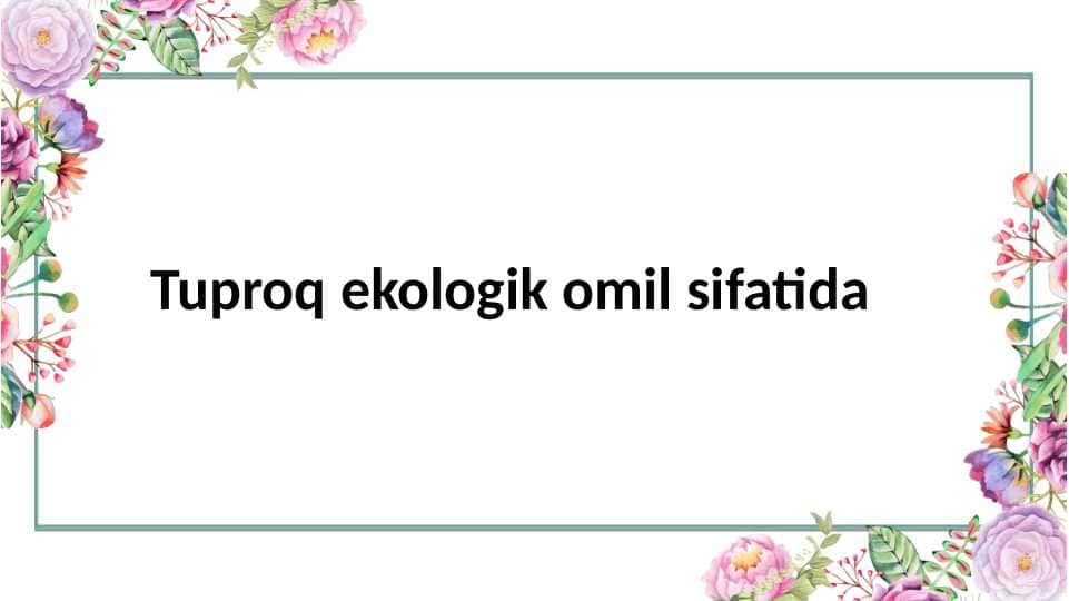 Tuproq ekologik omil sifatida