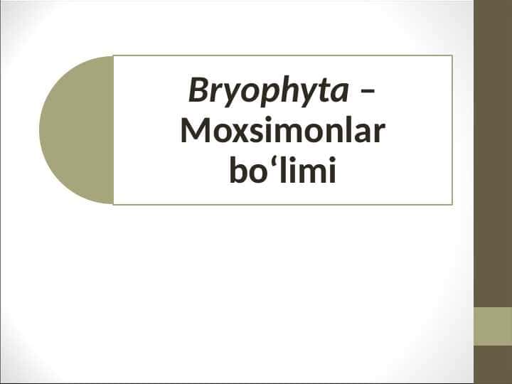 Bryophyta – Moxsimonlar bo‘limi