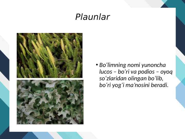 Plaunlar