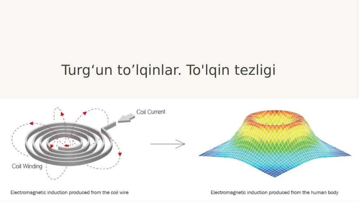 Turg‘un to’lqinlar. To'lqin tezligi