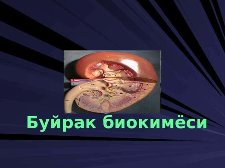 Буйрак биокимёси