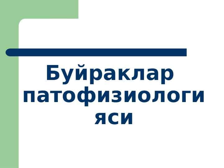 Buyrak ppt