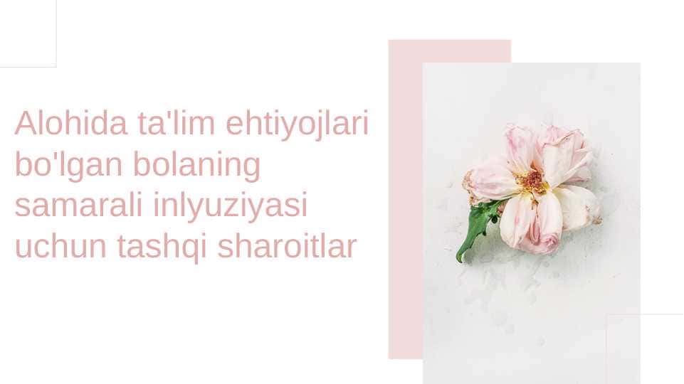Alohida ta'lim ehtiyojlari bo'lgan bolaning samarali inlyuziyasi uchun tashqi sharoitlar