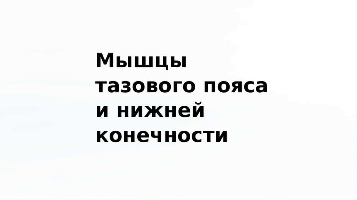 Мышцы тазового пояса и нижней конечности. Мышцы и фасции бедра, голени, стопы. Синовиальные сухожилия мынии стопы.Возрастные особенности.
