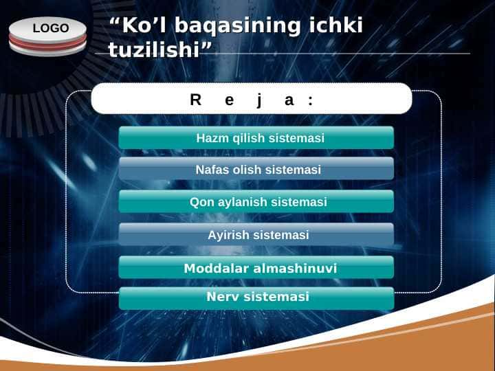 Ko’l baqasining ichki tuzilishi