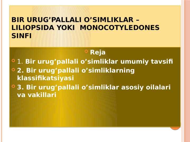 Bir urug’pallali o’simliklar – Liliopsida yoki Monocotyledones sinfi
