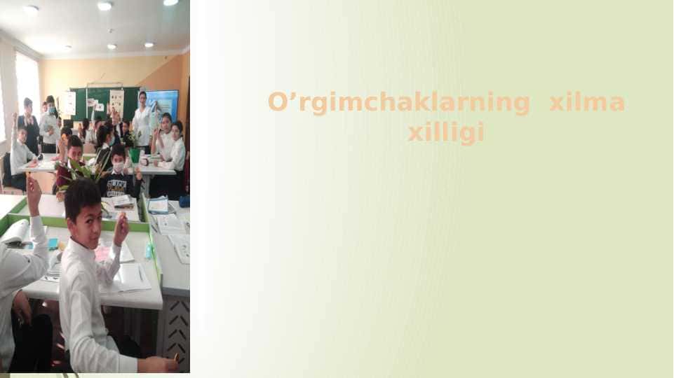 O’rgimchaklarning xilma xilligi