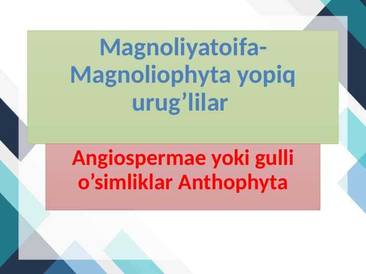 Magnoliyatoifa-Magnoliophyta yopiq urug’lilar