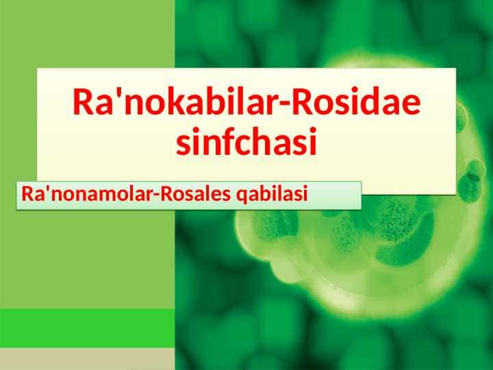Ra'nokabilar-Rosidae sinfchasi