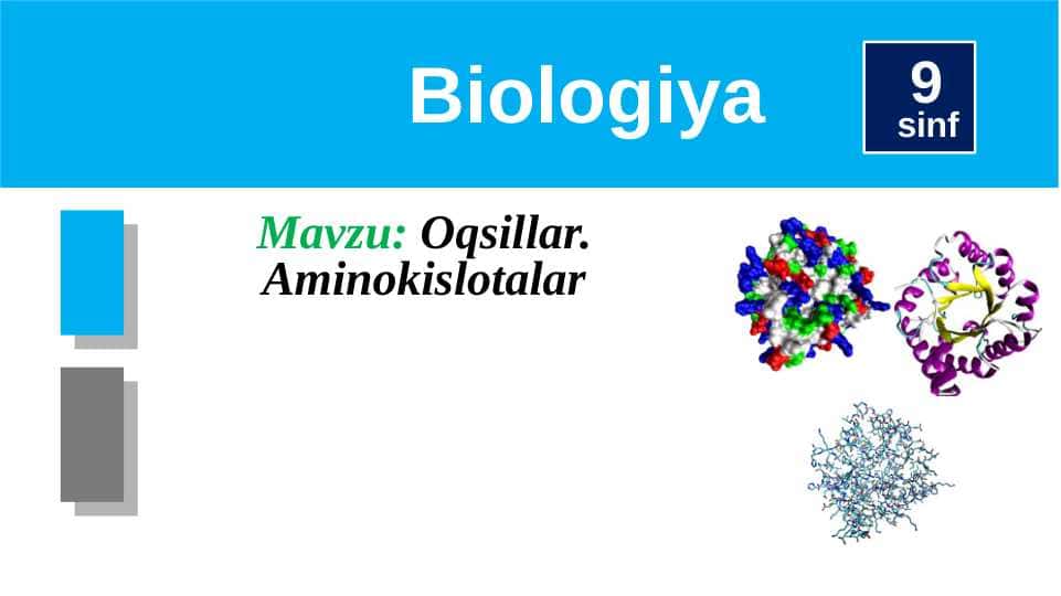 Oqsillar. Aminokislotalar